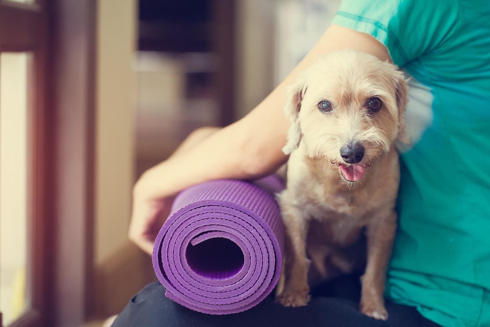 Woman holding dog and yoga mat in gym.