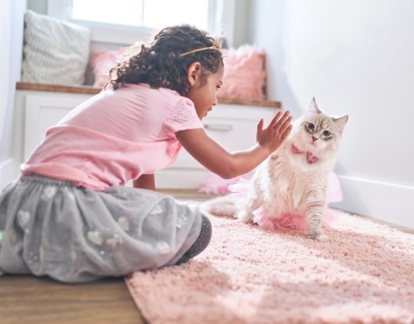 O fetiță jucându-se cu un pisoi