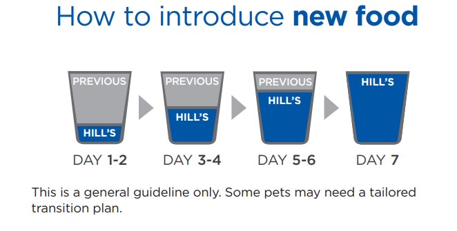 vizual tranziția de hrănire a lui Hill