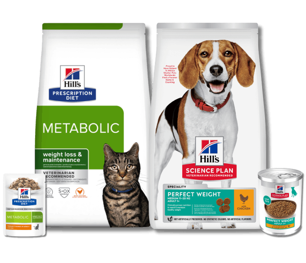 Metabolic Dry și Perfect Weight Adult Cat Dry and Wet Food
