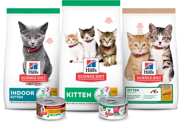 Three bags of Hill's Science Plan dry and wet kitten food