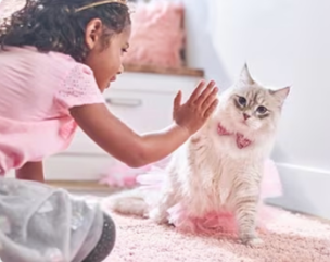 O fetiță jucându-se cu un pisoi