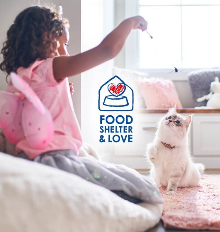 O fetiță îi dă dulciuri pisicii ei albe cu blană