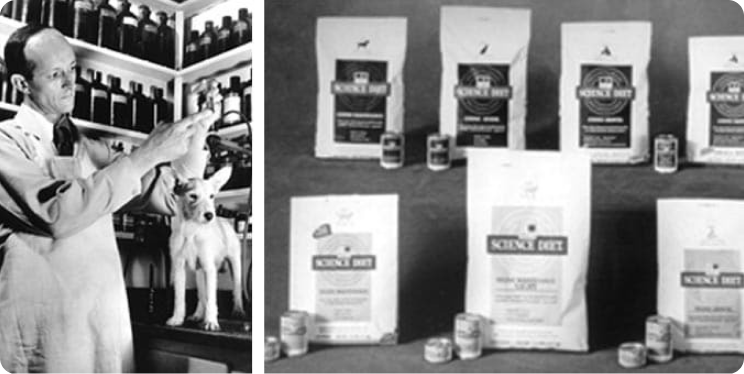 Dr. Mark Morris Jr. lucrând cu un animal de companie