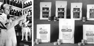 Dr. Mark Morris Jr. lucrând cu un animal de companie