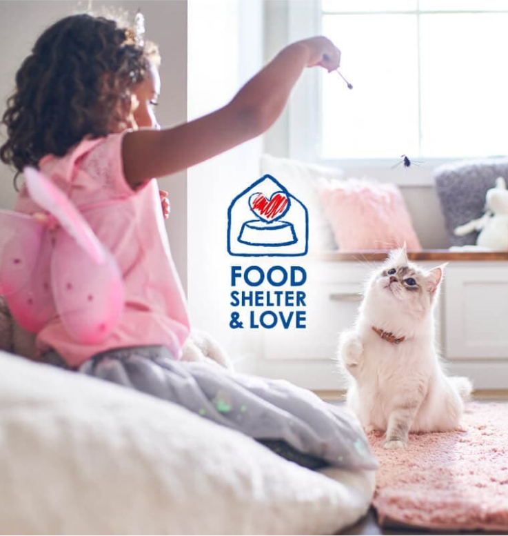 Fată care se joacă cu pisica ei