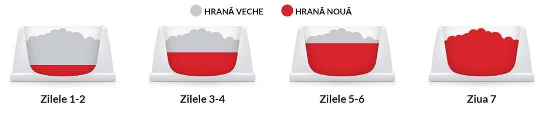 Hill's food transition